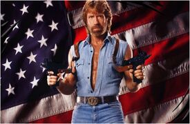 http___neverdaunted.net_wp-content_uploads_2014_08_Chuck-Norris-Guns-Flag.jpg