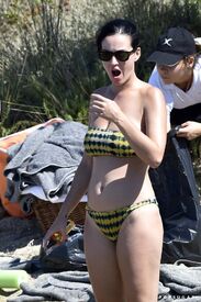 Katy-Perry-in-Bikini-11.jpg