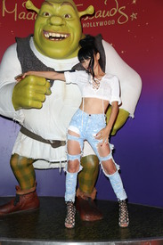 bail090816BZNimage16.jpg