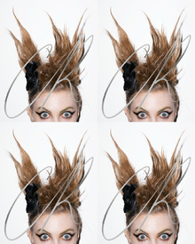 TERRY_COVER4.jpg