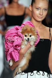 71891912Joanna_Mastroianni_Spring_2007__Runway.jpg