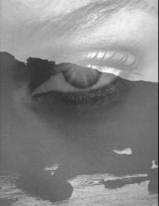 eye.jpg