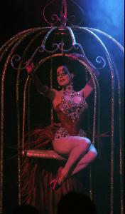 54071_Dita10_122_508lo.jpg