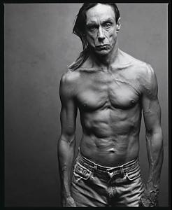 iggy_by_Annie_Leibovitz_LJ._ohno.jpg