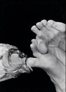 post-16964-0-1446022270-82775_thumb.jpg