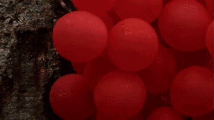 post-40237-1283592535_thumb.gif