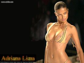 Adriana_Lima_wall_anth02.jpg