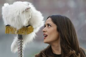 CU-Salma Hayek-Puss in Boots photocall in Moscow-09.jpg