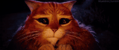 post-45408-0-1446057550-56067_thumb.gif