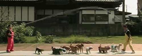 post-45408-0-1446057693-08494_thumb.gif