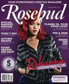 Rihanna Rosebud.jpg