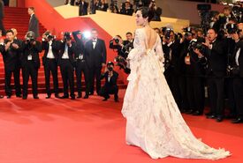 Fan_Bingbing_Polisse_Premiere_Cannes1.jpg
