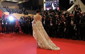 Fan_Bingbing_Polisse_Premiere_Cannes100.jpg