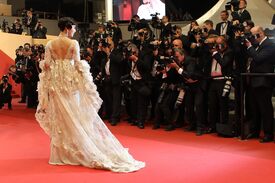 Fan_Bingbing_Polisse_Premiere_Cannes102.jpg
