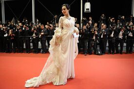 Fan_Bingbing_Polisse_Premiere_Cannes4.jpg