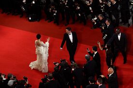 Fan_Bingbing_Polisse_Premiere_Cannes7.jpg