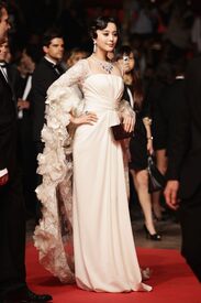 Fan_Bingbing_Polisse_Premiere_Cannes70.jpg