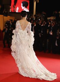 Fan_Bingbing_Polisse_Premiere_Cannes77.jpg