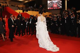 Fan_Bingbing_Polisse_Premiere_Cannes9.jpg