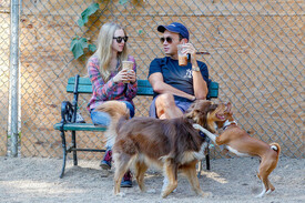 Amanda_Seyfried_male_friend_take_dog_Finn_Mv_EEYX.jpg