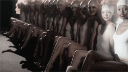post-54997-0-1445982710-75815_thumb.gif