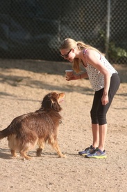 amanda_seyfried_out_about_and_at_a_dog_park_in_new_york_08_30_12_9fJlAPz.sized.jpg