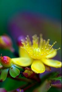 rainbow_0002.jpg