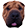 post-1004-0-1446081185-72052_thumb.png