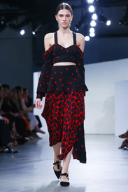 Proenza_Schouler_Ready_to_Wear_Spring_Summer_201.jpg