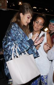 ghadid140916BZNimage11.jpg