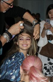 ghadid140916BZNimage16.jpg