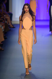 cushnie-et-ochs-rs17-2107.jpg