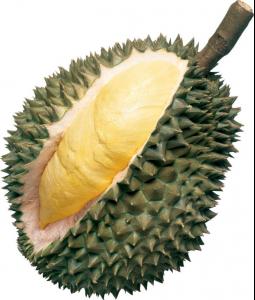 durian.jpg