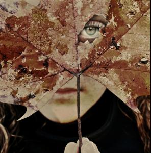 a0a650eb780529370b101ca6706c6b00_full.jpg