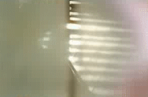 post-35528-0-1446013027-4514_thumb.gif