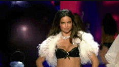 post-35528-0-1446410146-90318_thumb.gif