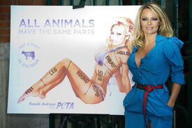 celebrity_paradise.com_TheElder_PamelaAnderson2010_10_24_UnveilsNewPETAAdinLondon24.jpg