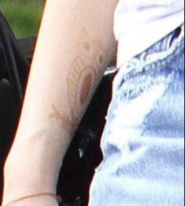 post-25593-1287951641_thumb.jpg