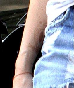 post-25593-1288028478_thumb.jpg