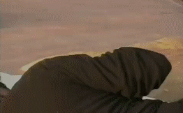 post-35528-1287017163_thumb.gif
