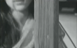 post-35528-1287017407_thumb.gif
