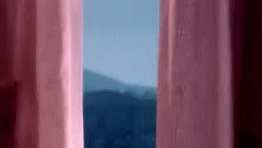 post-35528-1287372207_thumb.gif
