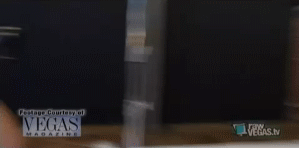 post-35528-1288491148_thumb.gif