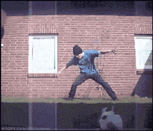 post-21861-0-1446057943-53173_thumb.gif