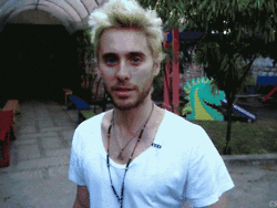 post-36249-0-1446057907-64185_thumb.gif
