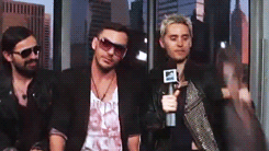 post-36249-0-1446057983-27767_thumb.gif