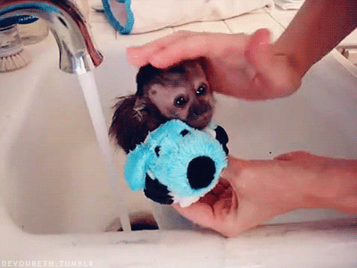 post-45408-0-1446057928-19174_thumb.gif