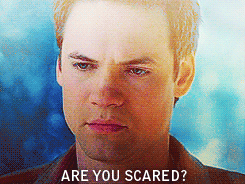 post-45408-0-1446058059-10712_thumb.gif