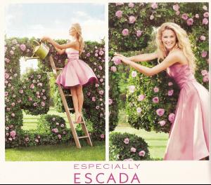 Bar Escada (2).jpg