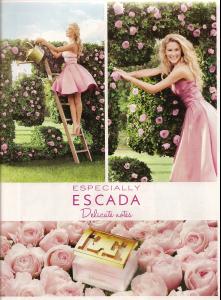 Bar Escada.jpg